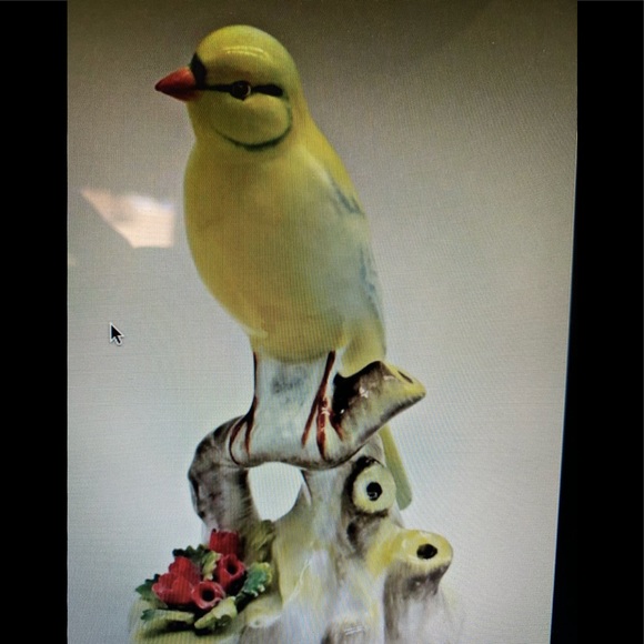 Royal Adderley Canary English Marked on underside - Picture 1 of 7